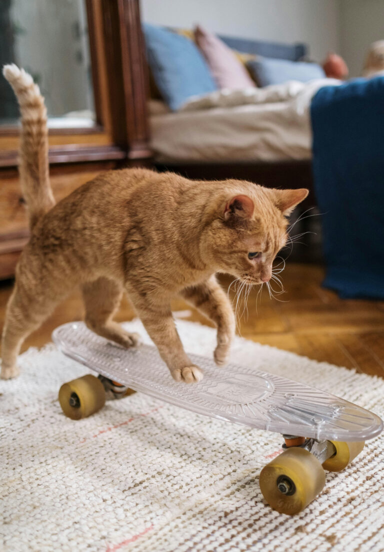 Best Cat Toys for Apartment Living in 2025: Keep Your Kitty Happy in Small Spaces
